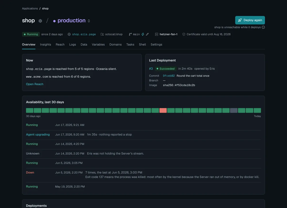 An app in the Dashboard: its address, its current state, thirty days of availability and its deploys