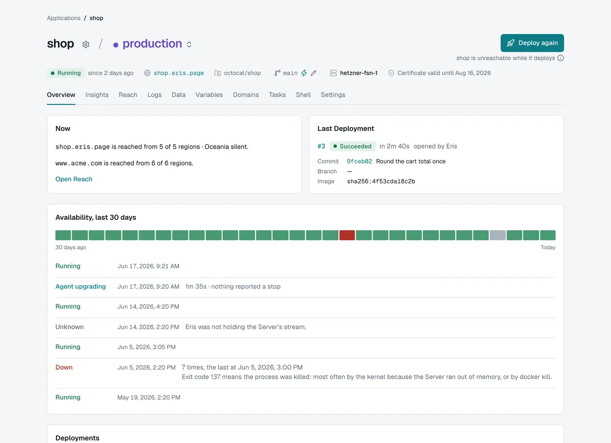 An app in the Dashboard: its address, its current state, thirty days of availability and its deploys